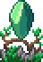 biomas
